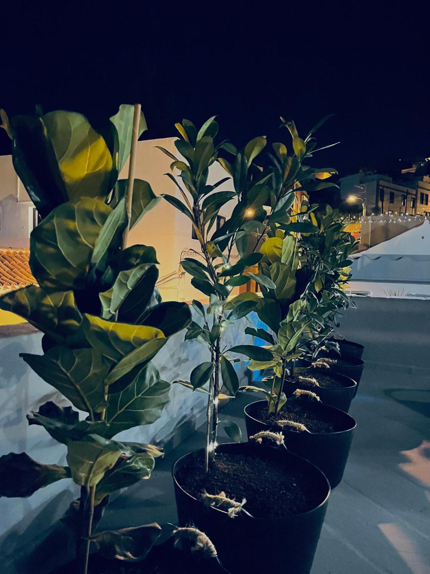 Plaza De La Fuente Granadilla De Abona Tenerife Sur Only Adults Con Terraza Privada Dış mekan fotoğraf
